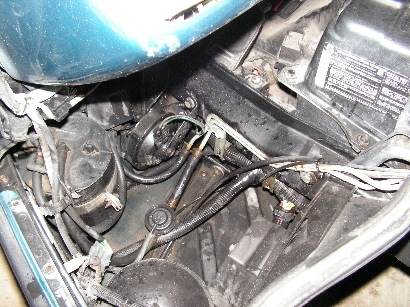 PICT0123bis.jpg