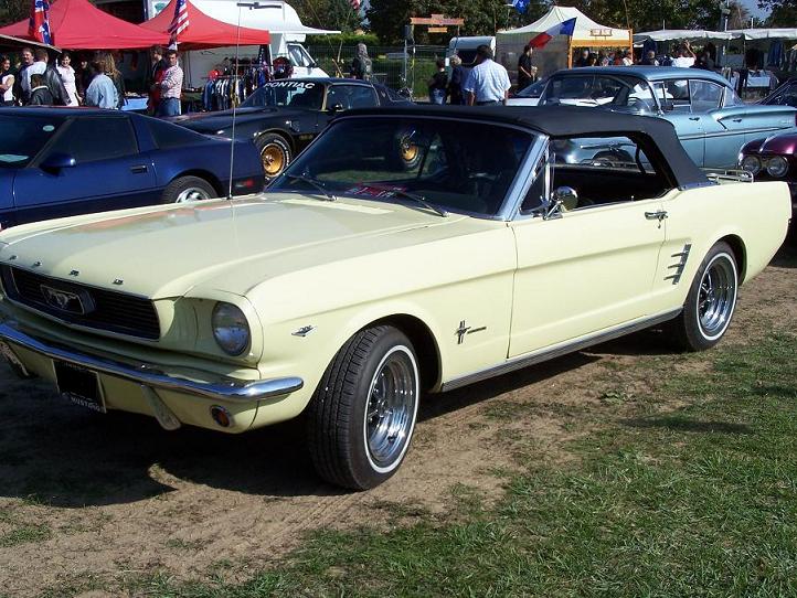 Copie de 100_1173.JPG