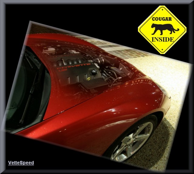 coug110.jpg (105.01 KiB) Viewed 9566 times coug110.jpg