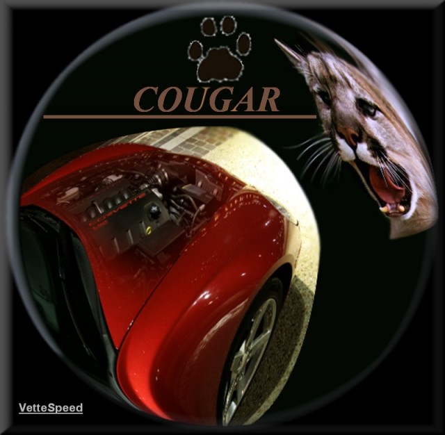 coug210.jpg (96.88 KiB) Viewed 9570 times coug210.jpg