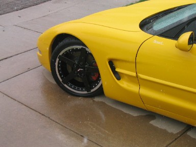 black rims 2.jpg